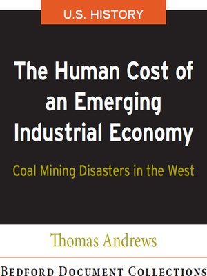cover image of The Human Cost of an Emerging Industrial Economy